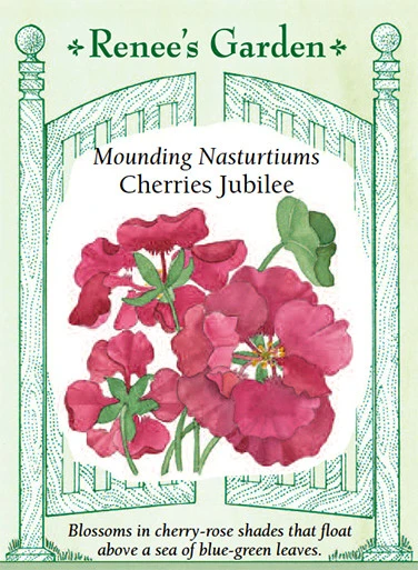 RG Nasturtiums Cherries Jubilee 